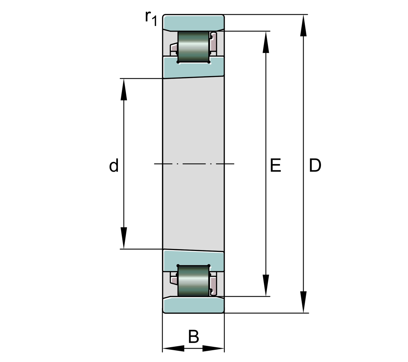 N1011-D-K-PVPA1-SP-XL-R10-20+FAG